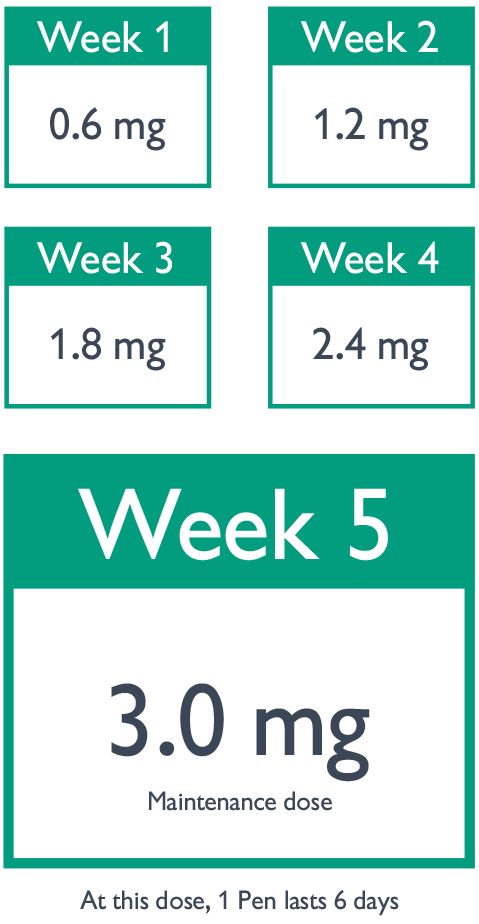 Saxenda dose dose-escalation period